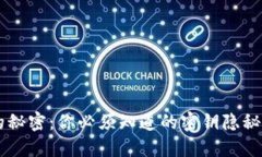 IM钱包的秘密：你必须知道