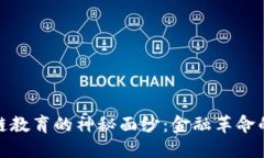 揭开区块链教育的神秘面纱：金融革命的未来之