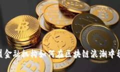 探秘：欧盟金融机构如何
