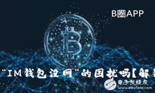 你也曾经历“IM钱包没网”的困扰吗？解锁解决方案！