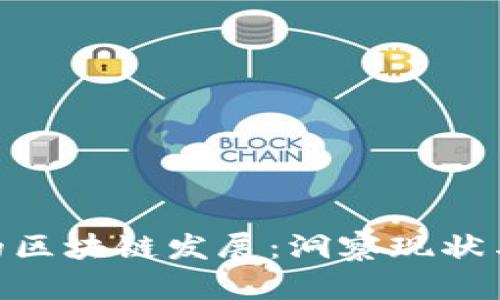 金融行业的区块链发展：洞察现状与未来机遇