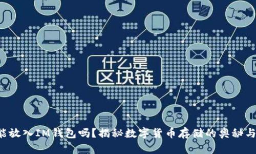 BTS能放入IM钱包吗？揭秘数字货币存储的奥秘与风险