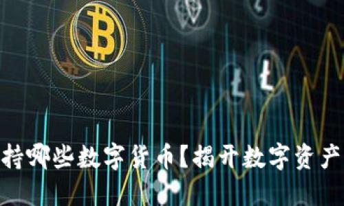 imToken钱包支持哪些数字货币？揭开数字资产管理的神秘面纱