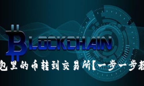 如何把IM钱包里的币转到交易所？一步一步教你轻松转账