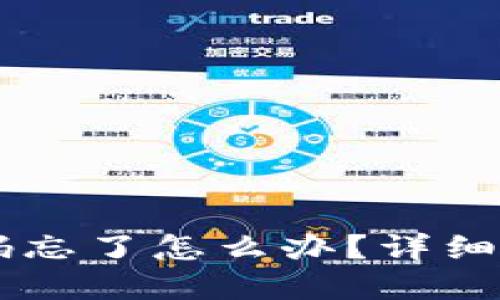 im钱包交易密码忘了怎么办？详细步骤与解决方案