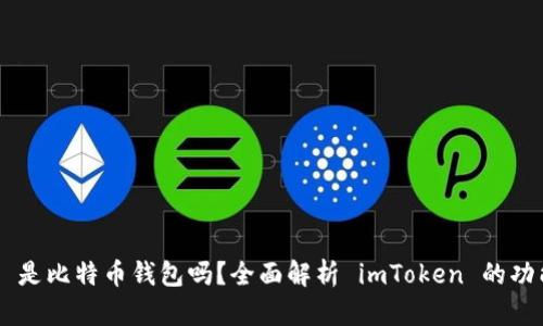 : imToken 是比特币钱包吗？全面解析 imToken 的功能与安全性